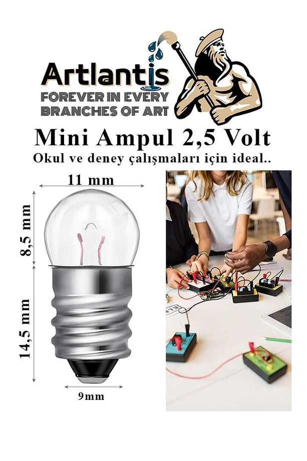 Mini Ampul 2,5 Volt 5 Adet 1 Paket Küçük Elektrik Deney Ampulü 2.5 v Okul Sınıf Elektrik Devre Deney - 5