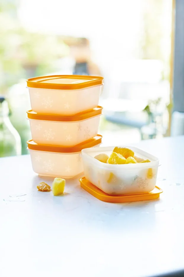Alaska Short Body Icebox Storage Container Set of 4 450 ml - 3