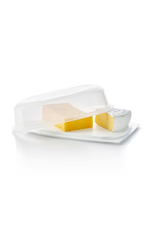 Big Cheese World Rectangular Refrigerator Storage Container - 4