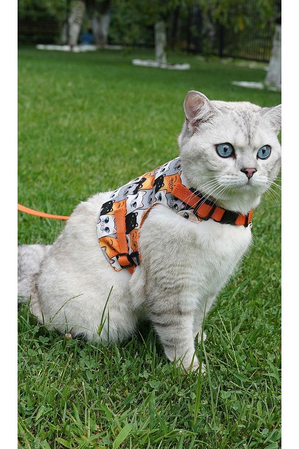 Kaçış Önleyici Kedi Gezdirme Tasması Ve Küçük Irk Köpek Gezdirme Tasması - 3