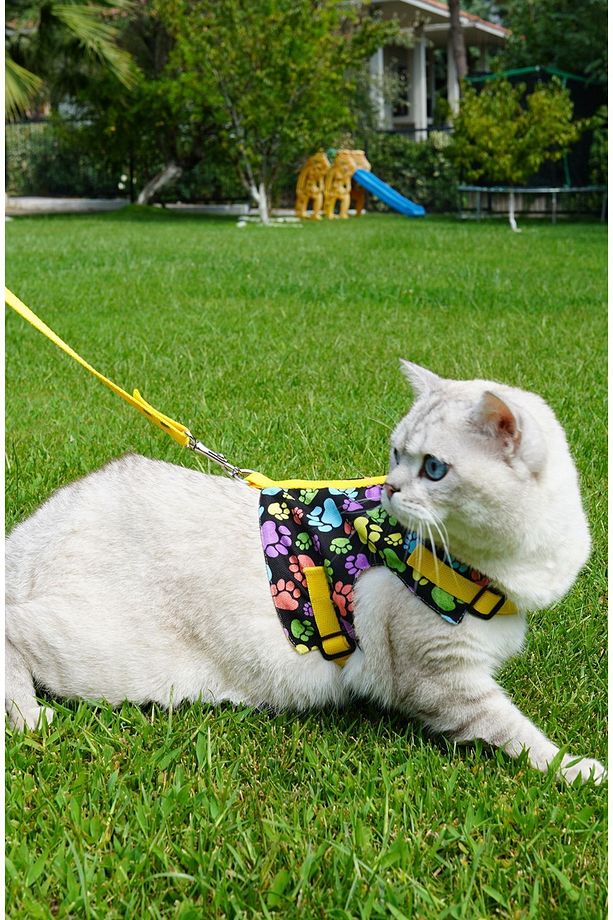 Kaçış Önleyici Kedi Gezdirme Tasması Ve Küçük Irk Köpek Gezdirme Tasması - 3