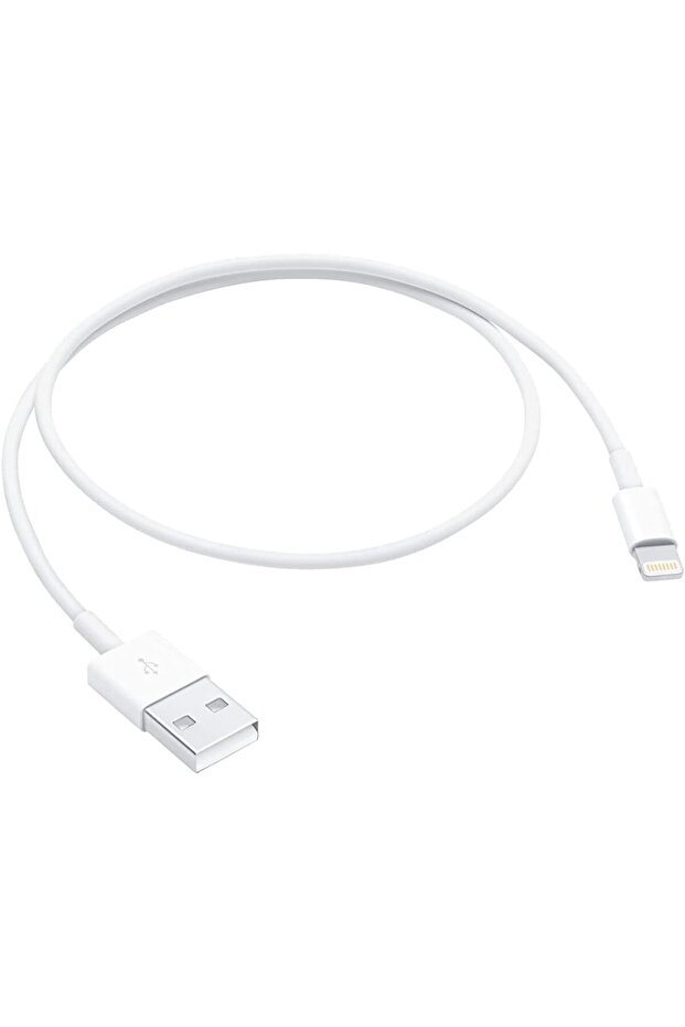 LIGHTNING TO USB 0.5M - 1