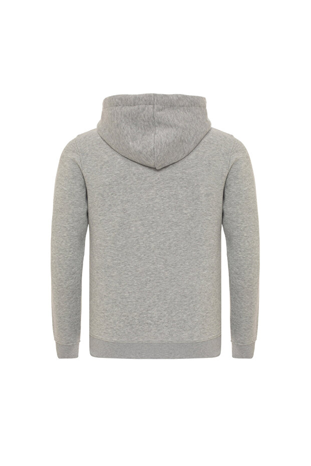 Harvey Erkek Gri Sweatshirt ERKEK SWEATSHIRT RFHARVEY2223 - 2