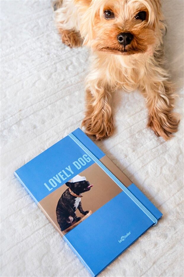Flexible Cover Notebook 10.5x18.58 144sy Dog Lover