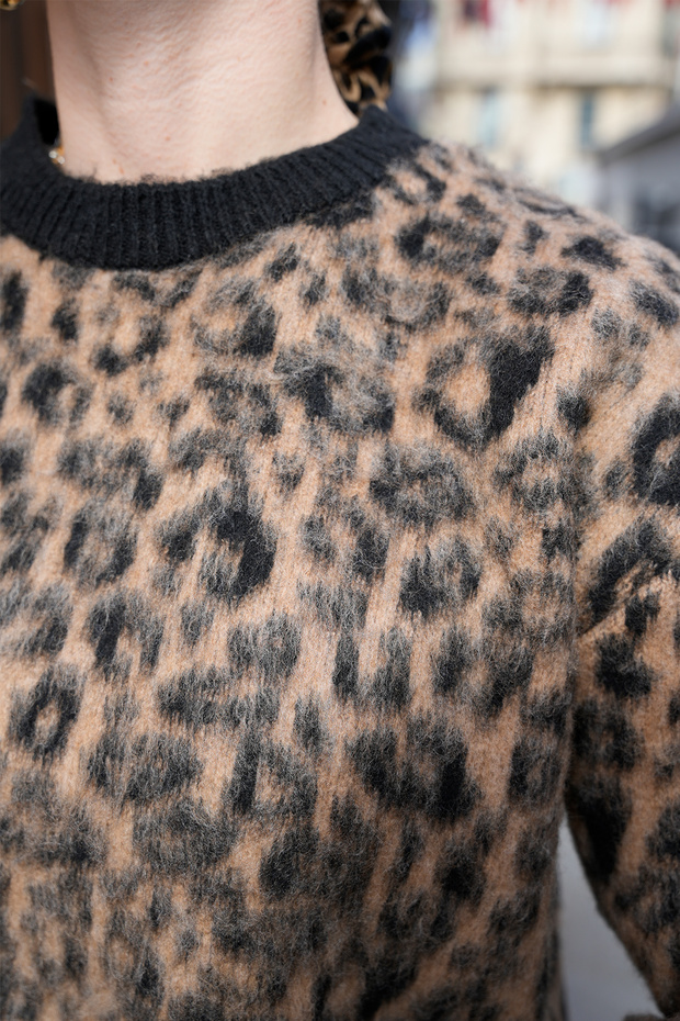 Leopard Patterned Sweater - 5