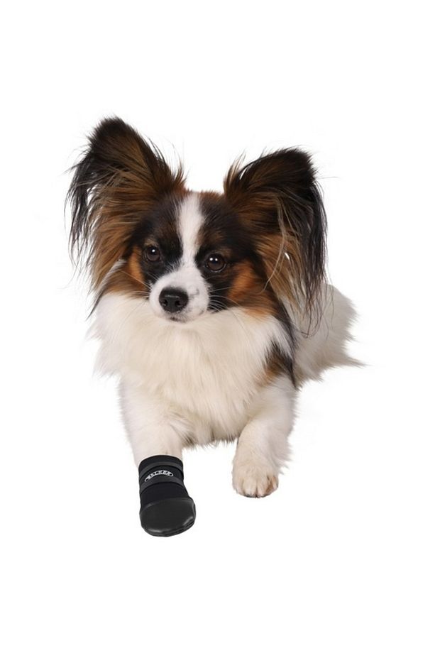 Köpek Patiği Neopren 2 Adet Xl Siyah - 4
