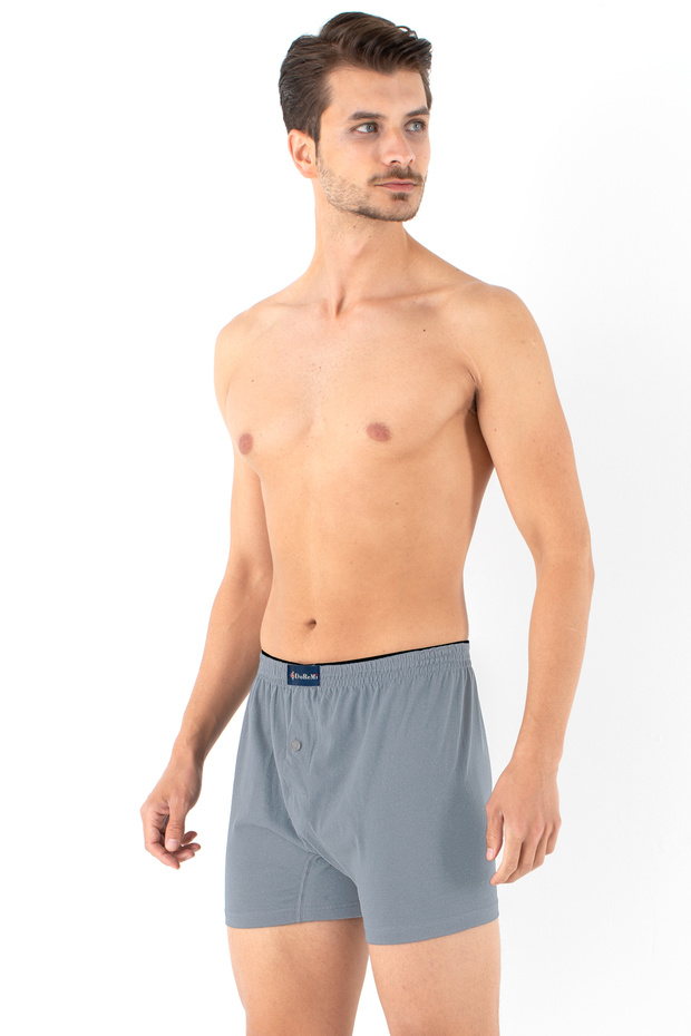Erkek Boxer - 2