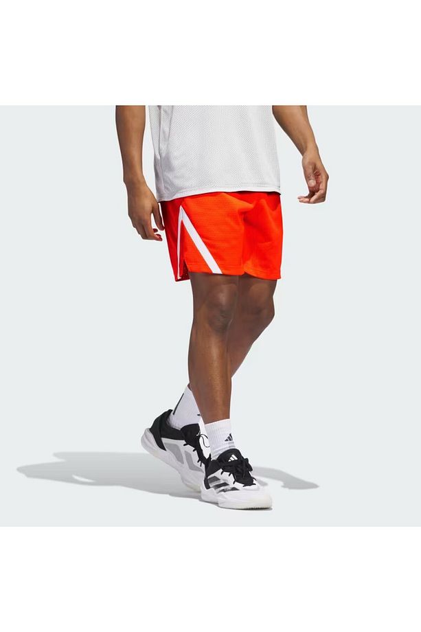 SELECT MESH S - 2