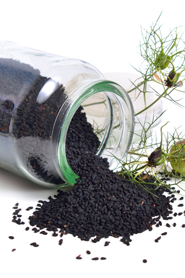 كعكة الكمون 500 جرام - 3