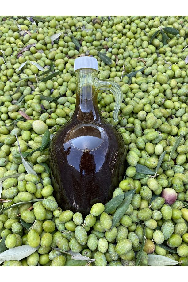 1,5 Litre İlk Hasat Zeytinyağı - 1