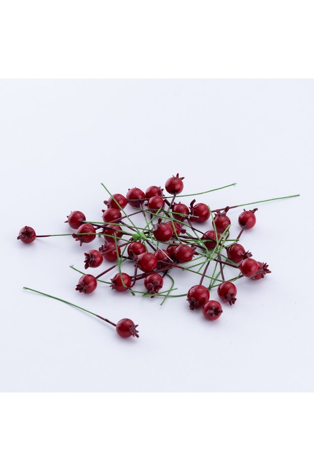 Mini Pomegranate String Berries, Red 10 Pieces