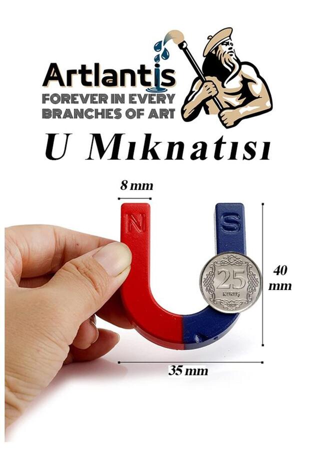 U Mıknatısı Deney Malzemesi 10 Adet Okul Projeleri İçin U Şekilli At Nalı Mıknatıs Kırmızı Mavi Boya - 5