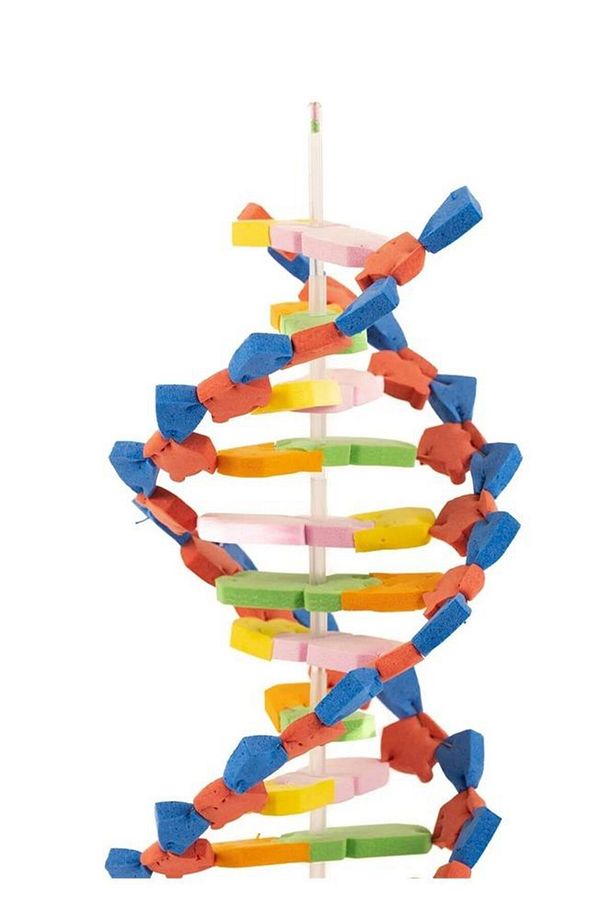 Dna Modeli 1 Paket Evadan DNA Yapım Seti Dna Saemalı Deney Yapım Seti Okul Materyali - 2