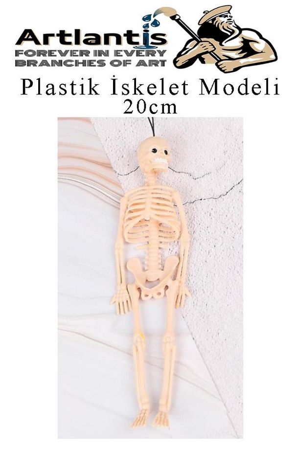 Plastik İskelet Modeli 20 cm 1 Adet Plastik İnsan İsket Modeli Silikon İskelet Deneyi Araba Süsü - 3