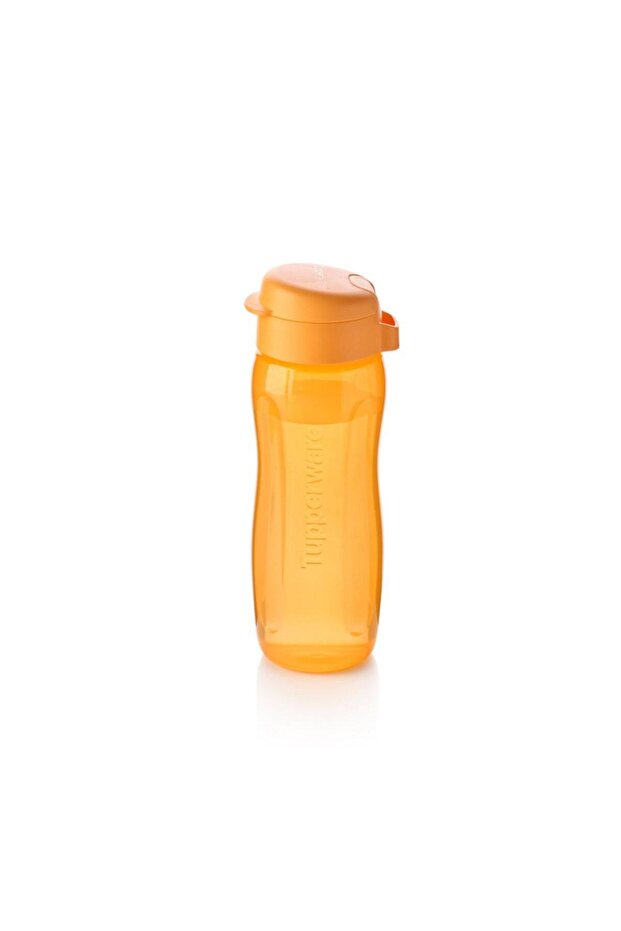 2-Piece Water Bottle and Food Carrying Container with Compartments