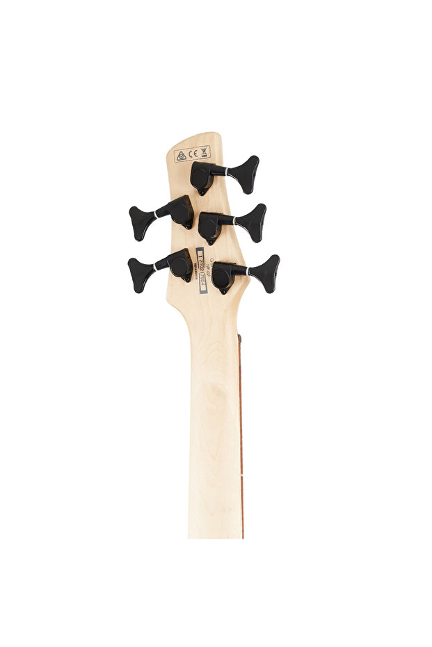 Gsr205b-wnf 5 Telli Bas Gitar - 5
