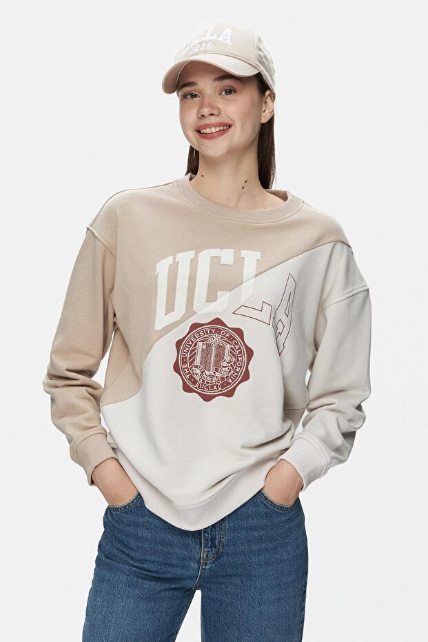 Shion Dark Beige Crew Neck Printed Standard Fit Women's Sweatshirt