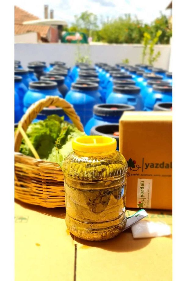 Salamura Asma Yaprağı - 5 Lt - Sıkı Basım - 1
