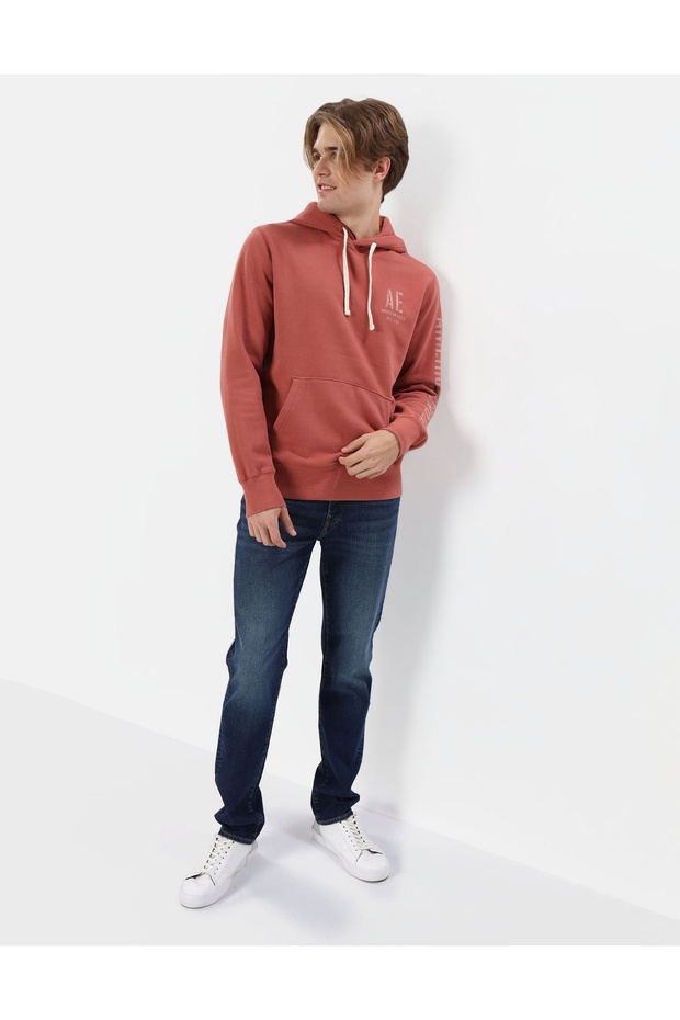 Ae Super Soft Graphic Hoodie