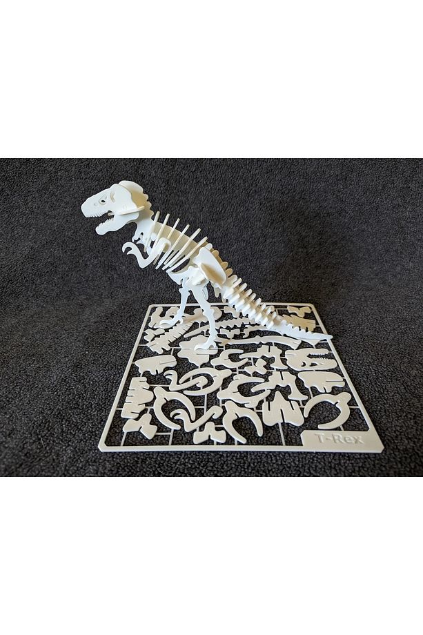 T-REX İSKELET Kit Maket Model & 3D Puzzle - 12cm - 4