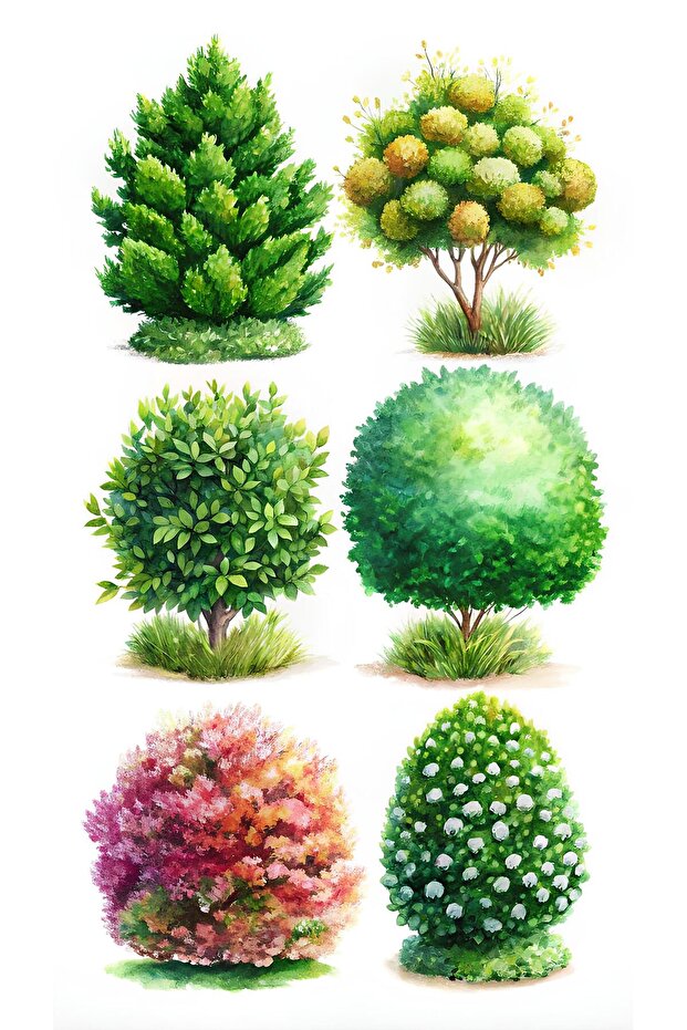 Ağaç Sticker Seti - 2