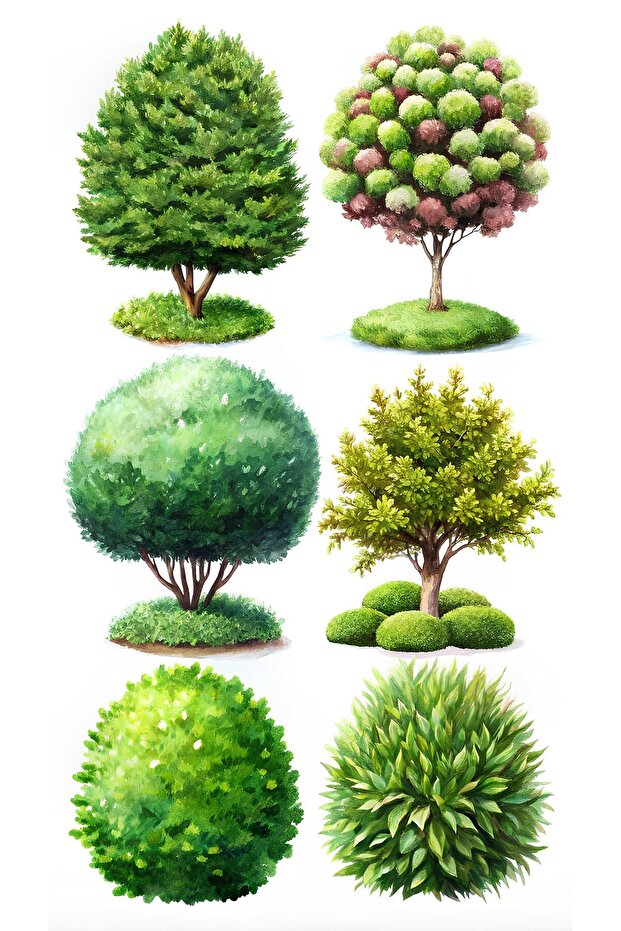 Ağaç Sticker Seti - 4