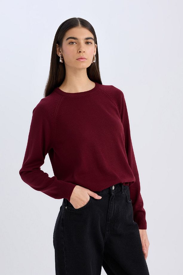 Regular Fit Yumuşak Dokulu Bisiklet Yaka Basic Düz Triko Kazak I6913AZ24WN - 3