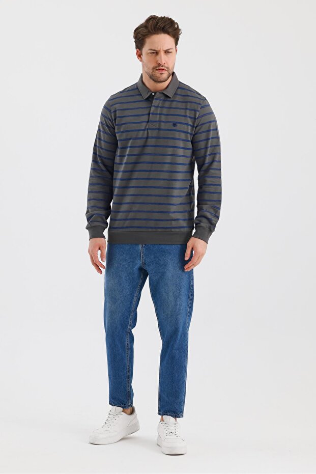 Polo Collar Striped Regular Fit Sweatshirt (Wk25386)