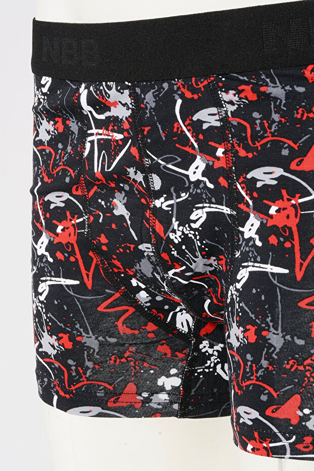 الملونة نمط الطلاء الملاكم - 2