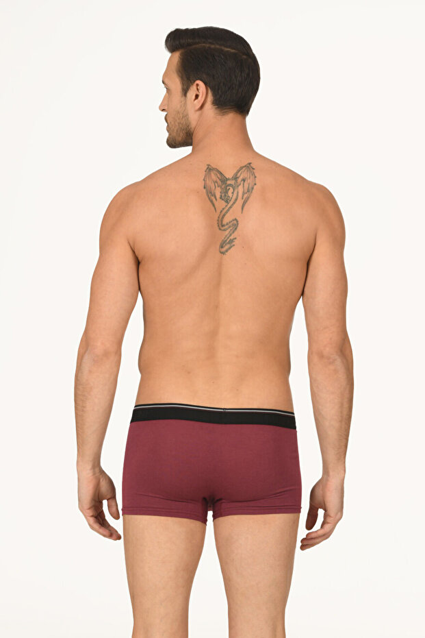 Bordol Hendrix Modal Boxer - 2