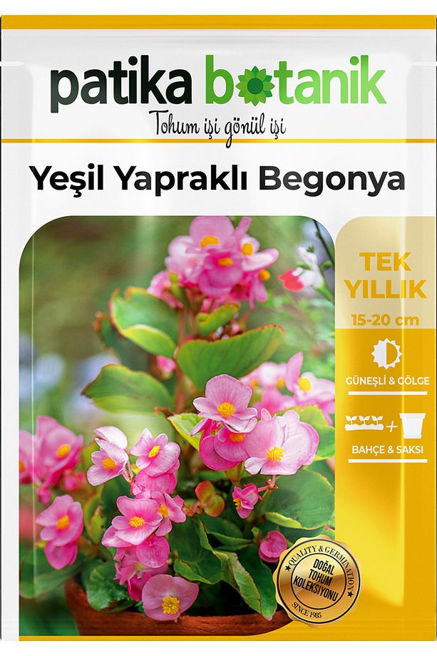 20 Adet Yeşil Yapraklı Begonya Tohumu - 2