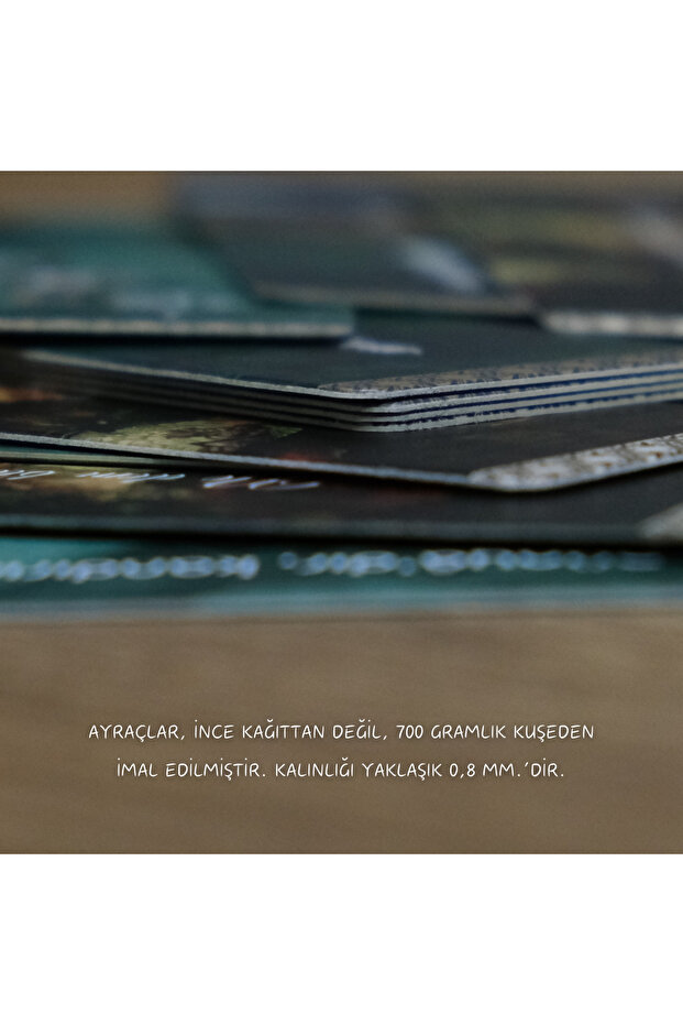 Kitap Ayracı 3'lü Set - 6
