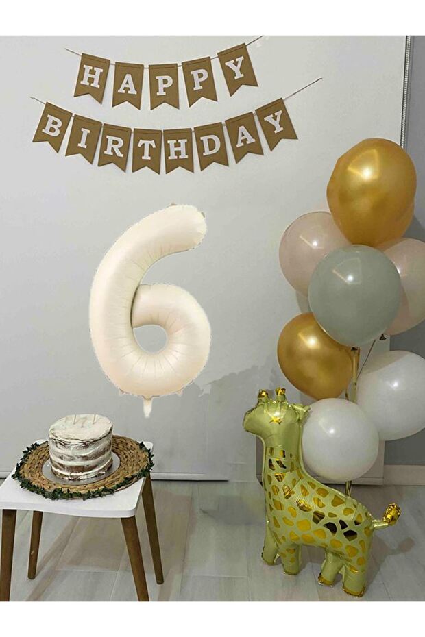6 Year Old Balloon Set Birthday Balloon Decoration Set with Giraffe Balloon and Happy Birthday Banner