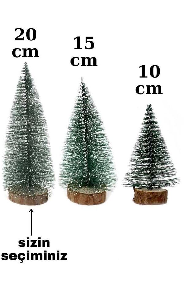 صنوبر عيد الميلاد الصغير مقاس 20 سم - شجرة صنوبر الطاولة - 4