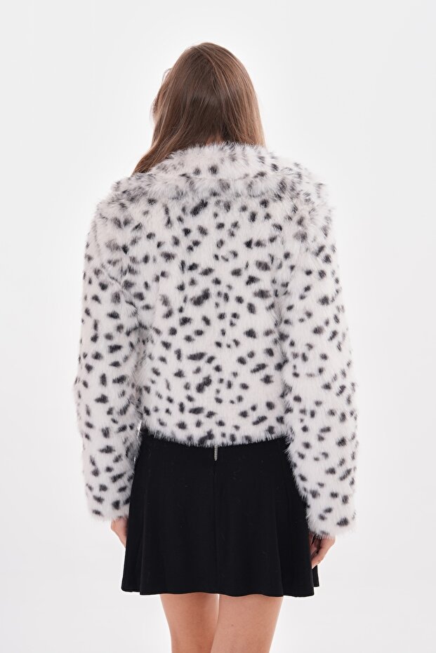 Leopard Print Collared Crop Jacket - 8