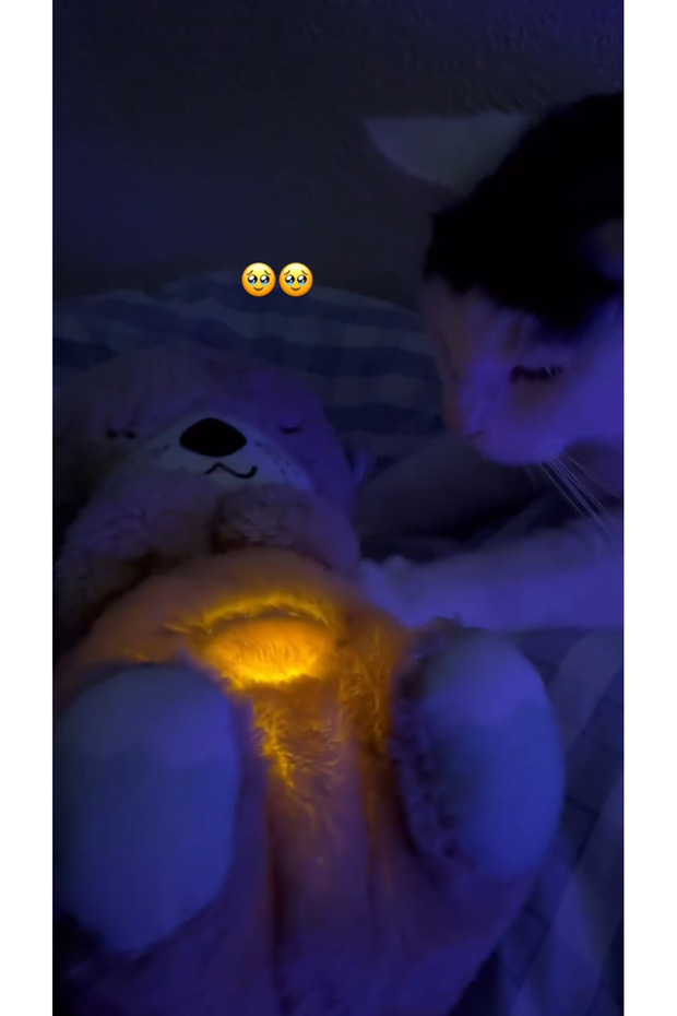 Uyku Arkadaşım Su Samuru - 2