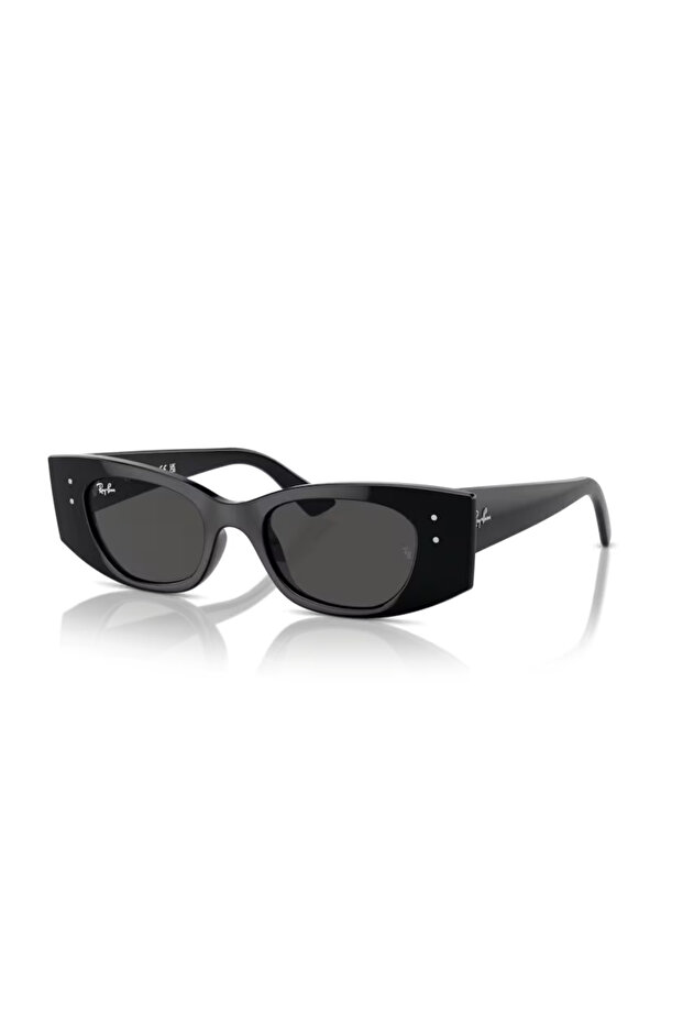 RAY BAN Unisex IRREGULAR Sun- RB 4427 - lense size:49mm - BLACK