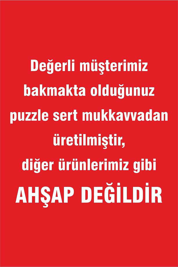 40 Parça Deniz Canlıları Mukavva Mini Puzzle 10 Adet - 5