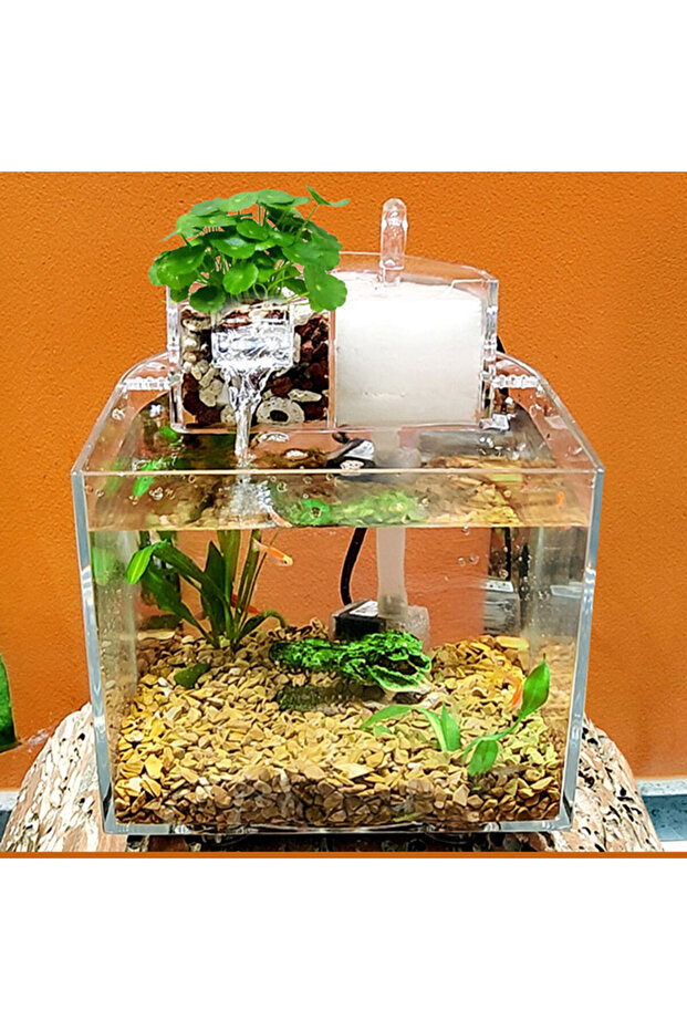Fish aquarium tank - 5