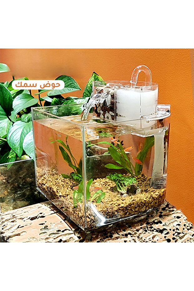 Fish aquarium tank - 3