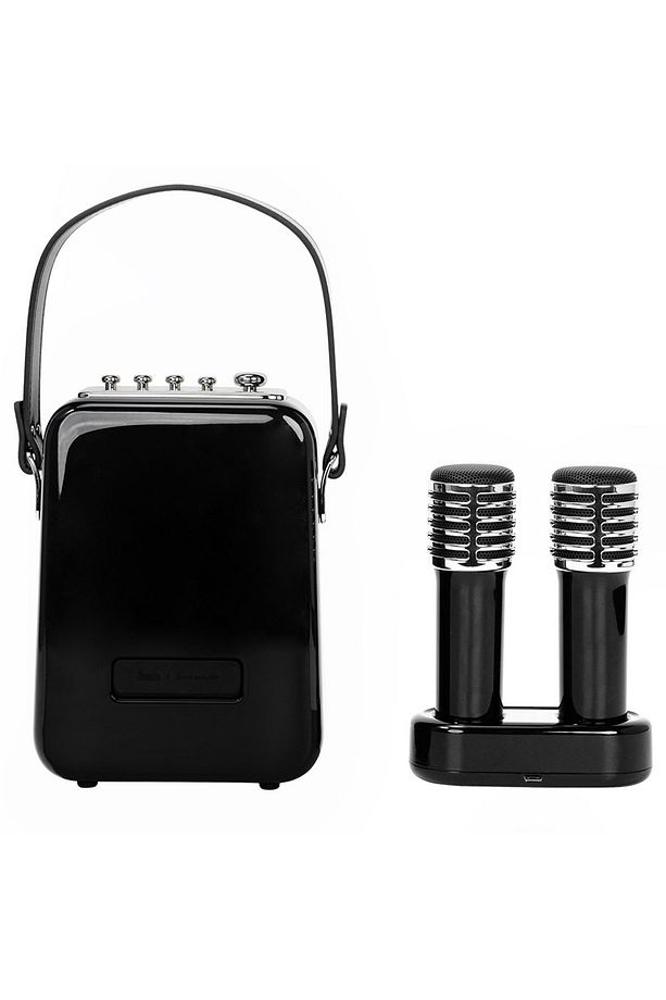 SongBird-HQ Siyah Çift Karaoke Mikrofonlu Bluetooth Hoparlör - 5