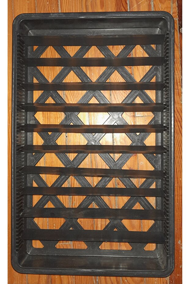 AYALANABİLİR YUMURTA VİYOLÜ - 1