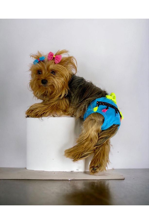 Blue Tufty 's Secret Köpek Iç Çamaşırı Regl Külot Don - 3