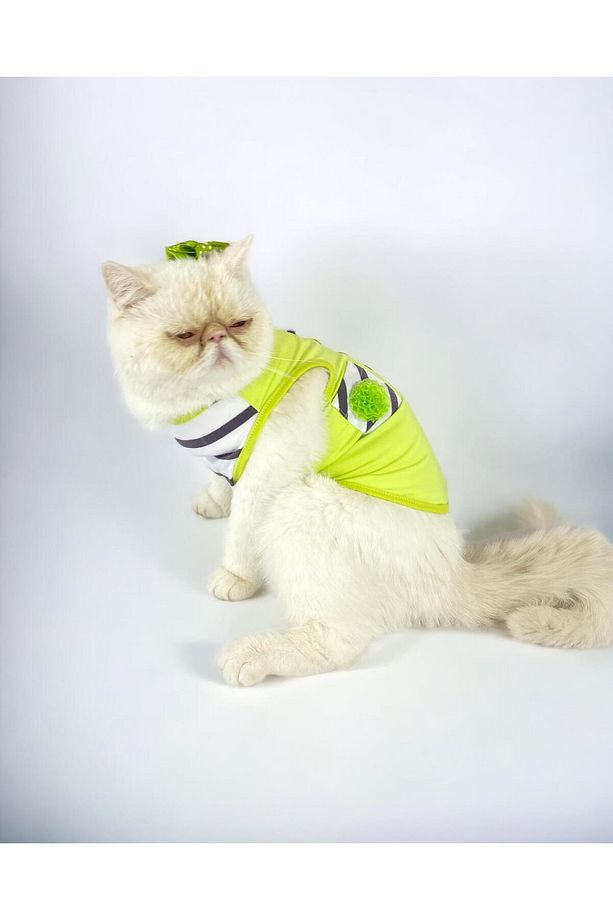 Lime Fuzz Atlet Kedi Kıyafeti Kedi Elbisesi - 1