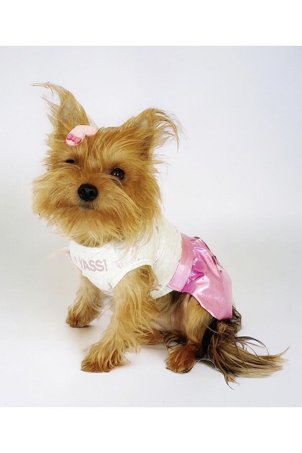 Yassi Glitz Köpek Elbisesi, Köpek Kıyafeti - 2