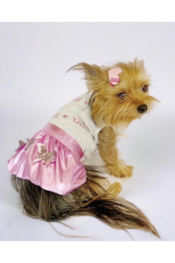 Yassi Glitz Köpek Elbisesi, Köpek Kıyafeti - 1