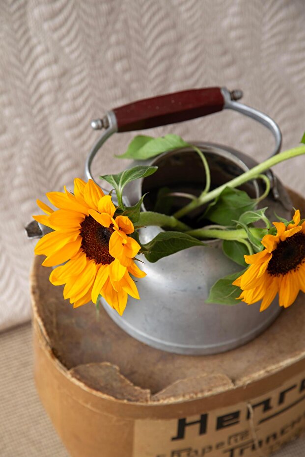 TEK KİŞİLİK YATAK ÖRTÜSÜ SET BOURBON BEJ - YATAK ORTUSU - 2