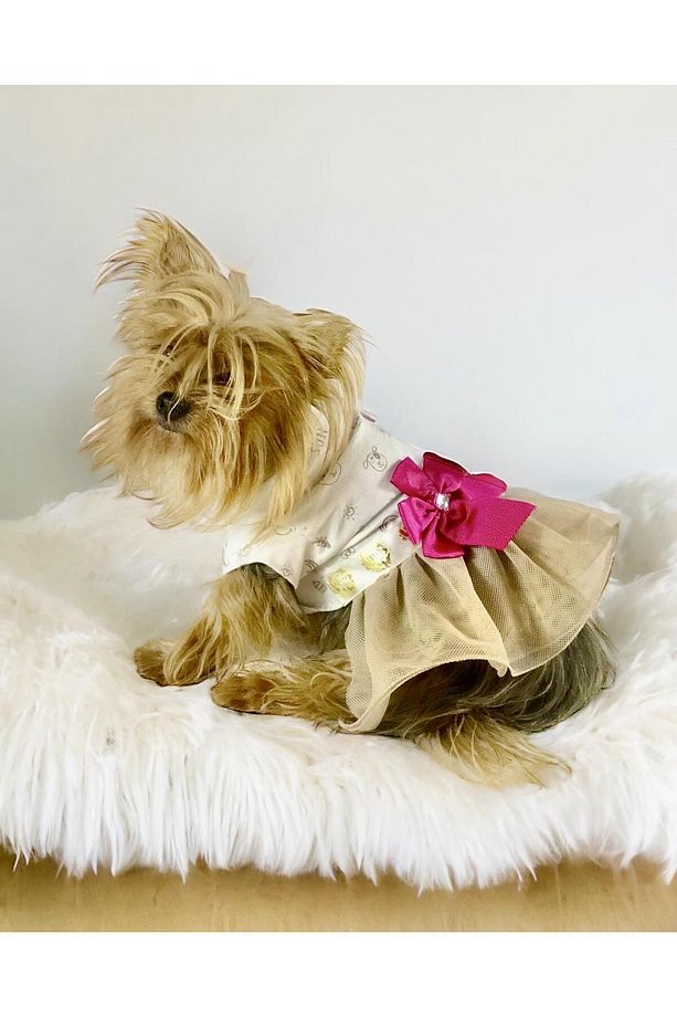 Creamy Fuchia Tütülü Köpek Elbisesi, Kıyafeti Tutu - 1