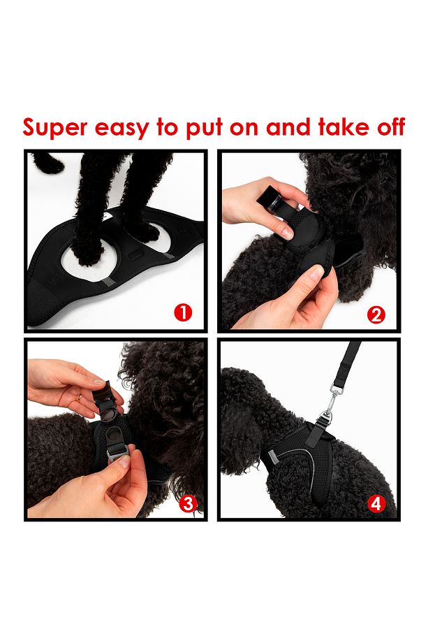 Kedi Köpek Air-Mesh Göğüs Tasması ve Gezdirme Sevk Kayışı Seti 2Sİ1 ARADA Siyah - 7