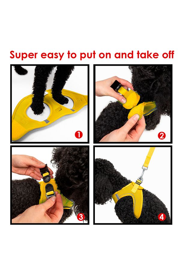 Kedi Köpek Air-Mesh Göğüs Tasması ve Gezdirme Sevk Kayışı Seti 2Sİ1 ARADA Sarı - 7